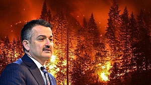 142 bin hektar orman yandı, ‘Tarihi başarı’ dedi